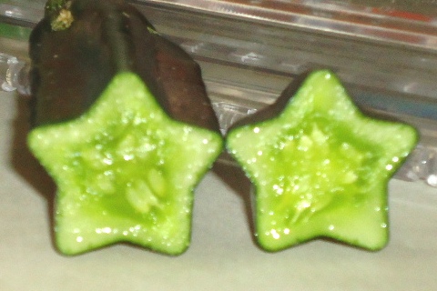 ǥ夦