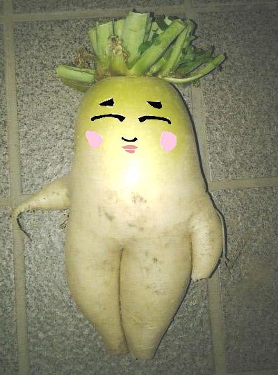 Radish